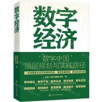 [N]数字经济(数字中国顶层规划与实践路径)-9787122440006