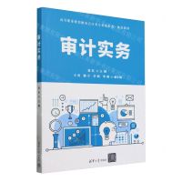 [N]审计实务(高等职业教育财务会计类专业新形态一体化教材)-9787302654056