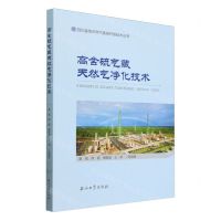 [N]高含硫气藏天然气净化技术/四川盆地天然气勘探开发技术丛书-9787518354627