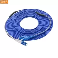 优晋光铠装单模双芯光纤跳线SC-LC 3米/根