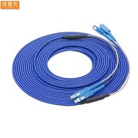 优普光铠装单模双芯光纤跳线SC-SC 10米/根