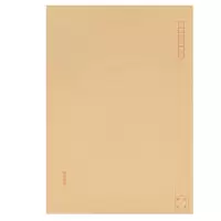 锡岳 XY-35 9号 牛皮信封 20个/包 (计价单位:包) 黄色