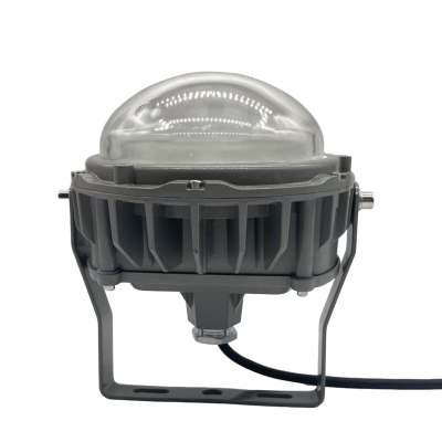 驰洛科 CLSF50-100TB 220V 100W IP65 三防灯 (计价单位:个) 银灰色