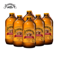 宾得宝含气干姜汁饮料