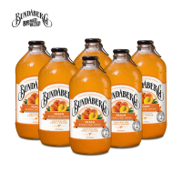 宾得宝含气蜜桃汁饮料375ml