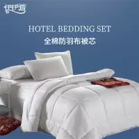 伊伊爱 全棉防羽布酒店公寓被芯