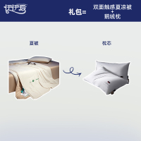 伊伊爱 双面触感夏凉被+鹅绒枕礼包