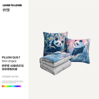 伊伊爱 3D数码印花亲肤棉抱枕被