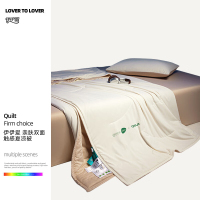 伊伊爱 亲肤双面触感夏凉被