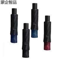 蒙企智品 十二骨手动伞 LM147/把