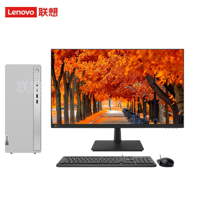 联想(Lenovo)天逸510Pro 27英寸台式电脑整机(13代i5-13400 16G 1T+512G SSD Win11 Wifi+蓝牙) 商务办公家用学习 不含票