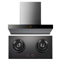 (北京)方太(FOTILE) 燃气灶02-HE01CB[S级]