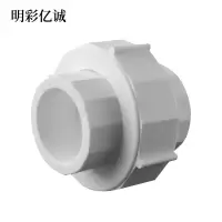 明彩亿诚 PPR活接 DN50 个