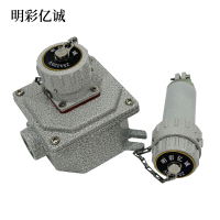 明彩亿诚 插座盒 单相三芯 25A220V 个