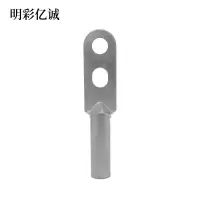 明彩亿诚 镀锡铜鼻子双孔 DTS-2A5 个