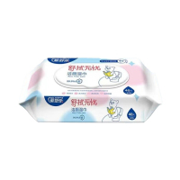 80片爱舒柔湿厕纸-99.9%杀菌