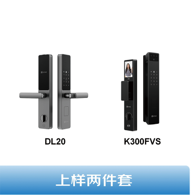 萤石上样两件套(DL20、K300FVS)