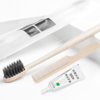 百晟长恒BSCH-73 牙刷套装 (计价单位:套)白色