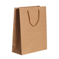 百晟长恒BSCH-A60 25x33x11cm 牛皮纸文件袋 牛皮色 10个/包 (计价单位:包)