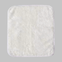 百晟长恒 BSCH-A42GS 35*35cm 白色抹布 白色