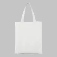 百晟长恒 BSCH-A47GS 35*40cm 帆布袋 文件袋(计价单位:个)白色