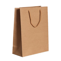 百晟长恒 BSCH-A60GS 25x33x11cm 10个/包 牛皮纸文件袋 (计价单位:包)牛皮色