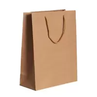 百晟长恒 BSCH-A60GS 25x33x11cm 10个/包 牛皮纸文件袋 (计价单位:包)牛皮色