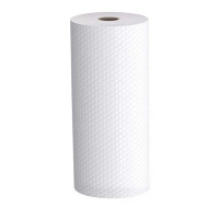 百晟长恒BSCH-A57GS 24.5*24.5cm 50片/卷 一次性抹布 50.00 块/卷 (计价单位:卷) 白色