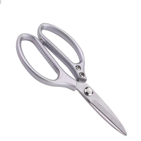 百晟长恒BSCH-C37GS 21*10cm剪刀(计价单位:个)银色