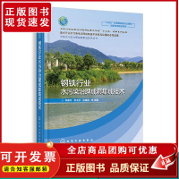 钢铁行业水污染治理成套集成技术 李素芹 水污染钢铁节能减排 流域水污染治理成套集成技术丛书分册 高等学校环境工程专业师生