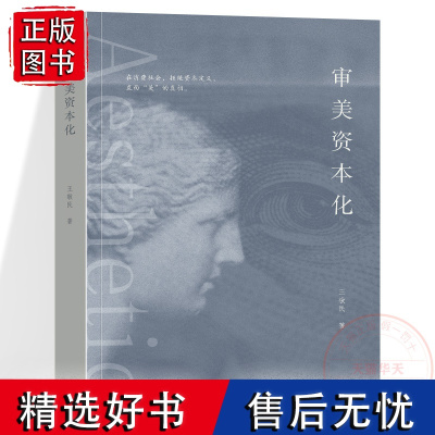 审美资本化 美学王敬民 著 以西方论说为镜鉴,反思审美资本化的中国本土经验,消除审美迷雾,展现批评的力量