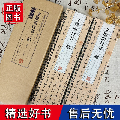 共2卷文徵明行书二帖墨迹本滕王阁序千字文名家碑帖近距离临摹卡原色原帖简体旁注文徵明字卡毛笔书法字帖临摹范本崇