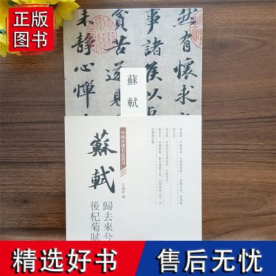 经折装 苏轼归去来兮辞后杞菊赋中国书迹名品丛刊苏轼行书作品弘蕴轩编整张折页高清原色毛笔书法临摹字帖装裱欣赏用