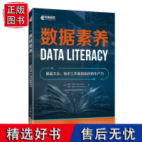 数据素养 大数据数字经济企业数字化数据使用者指南数据分析计算机网络技术书籍