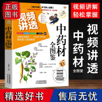 正版视频讲透中药材全图鉴 从基础理论到实践操作跟着视频由浅入深轻松掌握 视频讲解白话解读简单易懂一看就会知己知病活学活用