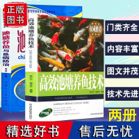 2册高效池塘养鱼技术与鱼病防治诊断及治疗科学生态养鱼淡水鱼类水产养殖技术书籍大全繁育饲养管理教程饲料配方池塘网箱养鱼书籍