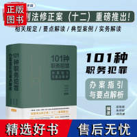 2024新书 101种职务犯罪办案指引与要点解析 胡雨晴 朱伟悦 杨雨蒙 中国法制出版社 要点提示解读重要法条 典型案例