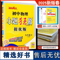 2025春新版恩波教育初中物理小题狂做 提优版九年级下 苏科版9下册物理初中同步练习教辅江苏凤凰科学技术出版社附赠答案小