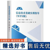 [正版新书]信息技术基础实训指导(WPS版) 卢彩虹 朱丽华 杨红 孙冠男 王欢 王洪岩 初夏 清华大学出版社 信