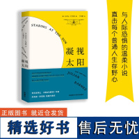 [外研社店]凝视太阳 布克奖得主作品 成长勇气童年外国文学长篇小说两性