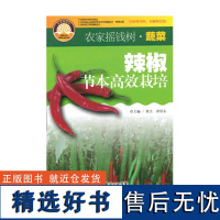 [] 辣椒节本高效栽培 农家摇钱树 广东科技出版社店图书