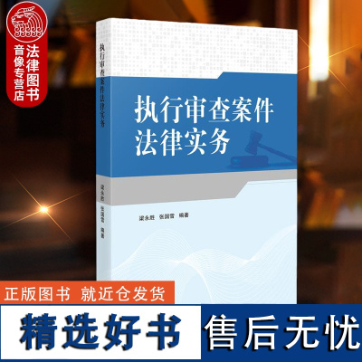 正版 执行审查案件法律实务 张国雪 人民法院出版社 民事强制执行行为法律规定司法解释案例分析司法实务审查权运行规则 法学