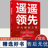 遥遥领先 华为崛起之路 新华出版社