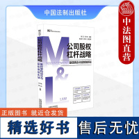 正版 公司股权杠杆战略 股权架构设计与股权激励实战 陈元 王坤 法制 M&L企业管理与法律实用系列 防范股权纠纷 股权分