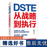 DSTE 从战略到执行 胡红卫 DSTE管理变革 企业战略管理理论实践 BLM MM BEM三大领先战略方法论应用 战略