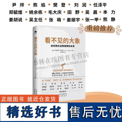 看不见的大象 如何用长远思维预测未来 科学心理学大众读物 摆脱情绪桎梏培养长远思维认知 思维旅程书 中译出版 预售新书