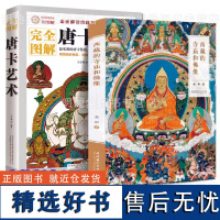 套装2册 完全图解唐卡艺术西藏的寺庙和佛像 西藏绘画研究藏传佛教岩画壁画唐卡艺术布达拉宫佛塔建筑石窟寺庙西藏美术之旅书籍