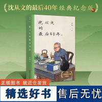 沈从文的最后40年 沈从文研究专家李扬教授20年研究心得 深情讲述一代知识分子的跌宕命运和独立精神个人传记励志磨铁图书正