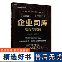 企业司库理论与实务 张庆龙,方汉林,包恩伟 著 中国财政经济出版社