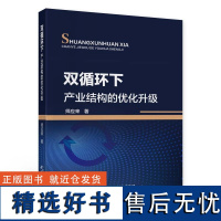 双循环下产业结构的优化升级 师应来 著中国财政经济出版社9787522316277